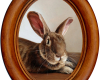 Bunny Rabbit miniature oil painting on aluminum by Rebecca Luncan