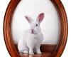 White rabbit oil painting Rebecca Luncan