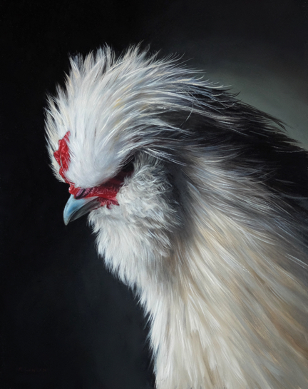 Silkie chicken oil painting by Rebecca Luncan