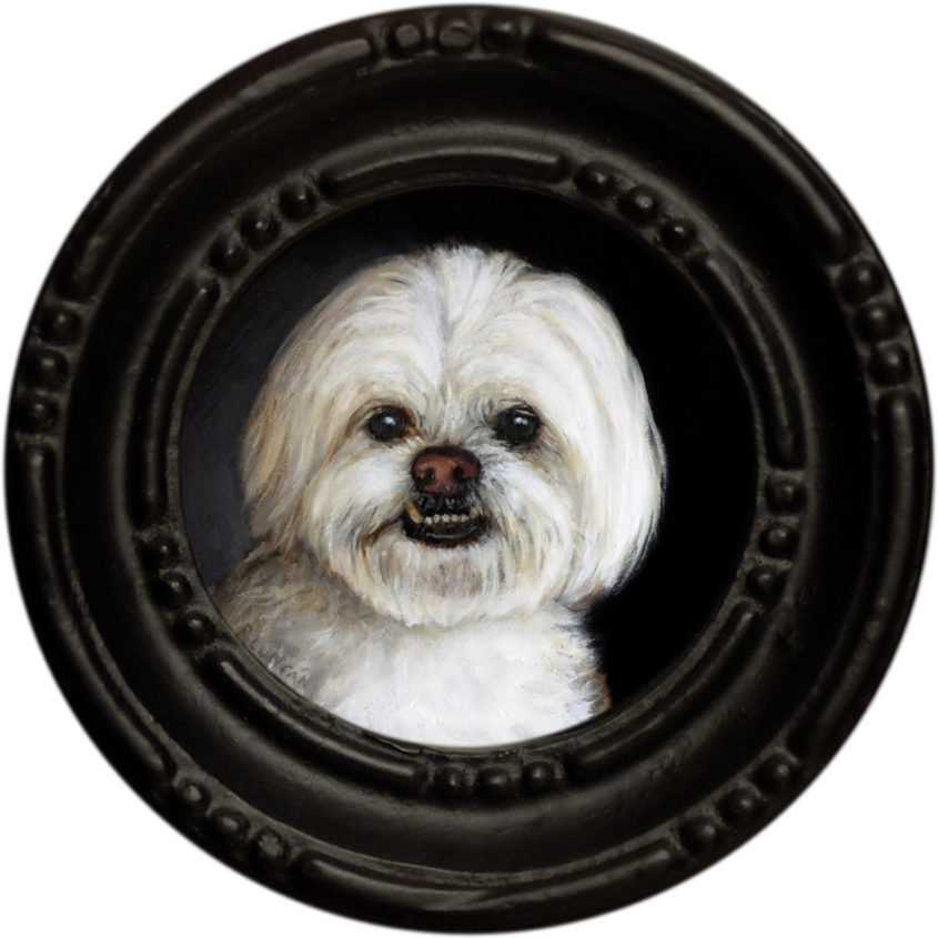 Oliver, pet portrait miniature oil painting by Rebecca Luncan