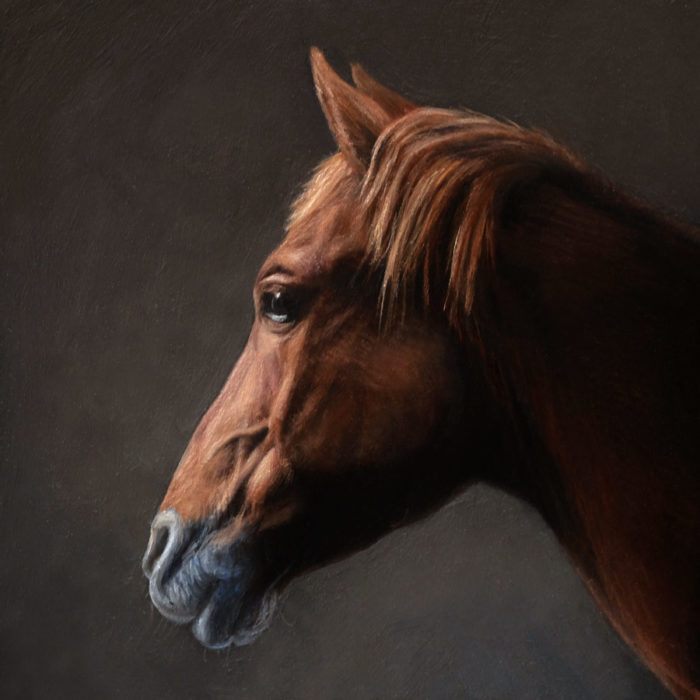 Horse Portrait painting miniature, oil on copper by Rebecca Luncan