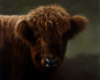 Highland Cow oil painting by Rebecca Luncan