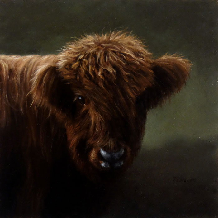 Highland Cow oil painting by Rebecca Luncan