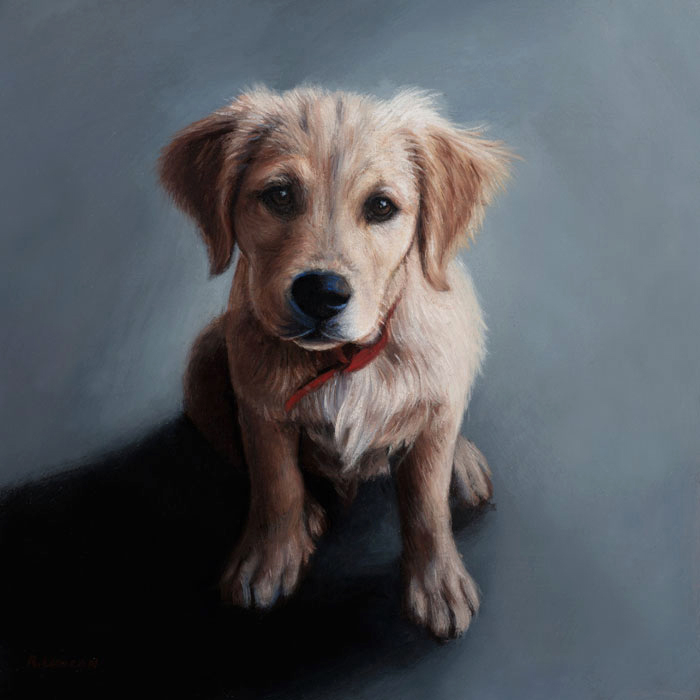 pet portrait oil painting of golden retriever puppy by Rebecca Luncan