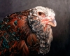 russian orloff chicken oil painting by Rebecca Luncan