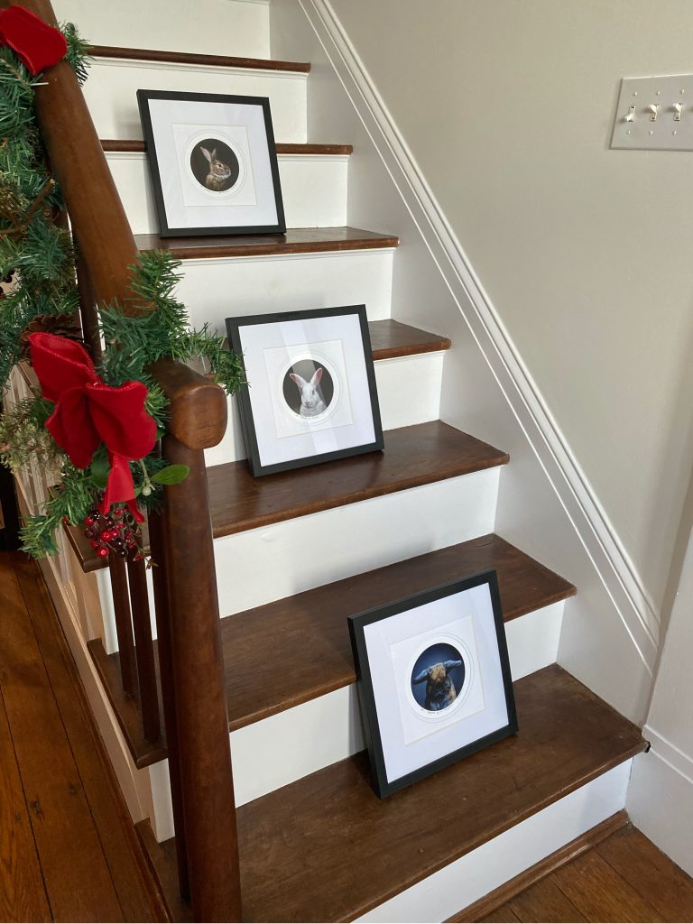 limited edition prints or rabbit portraits by Rebecca Luncan