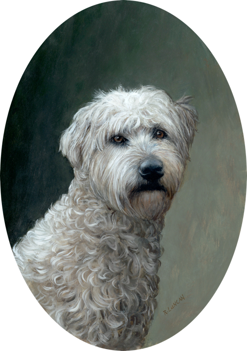 Pet portrait of Wheaten Terrier classical oil painting by Rebecca Luncan