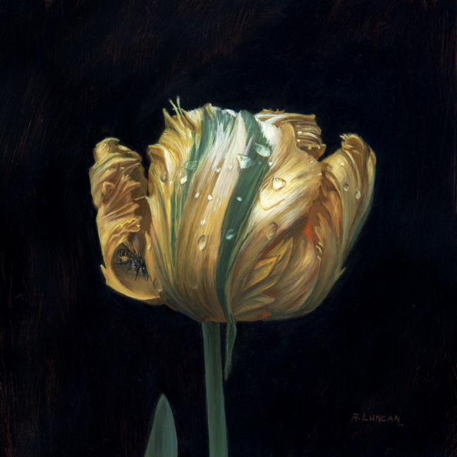 still life painting of Parrot Tulip, oil on copper, 5 x 5 by Rebecca Luncan